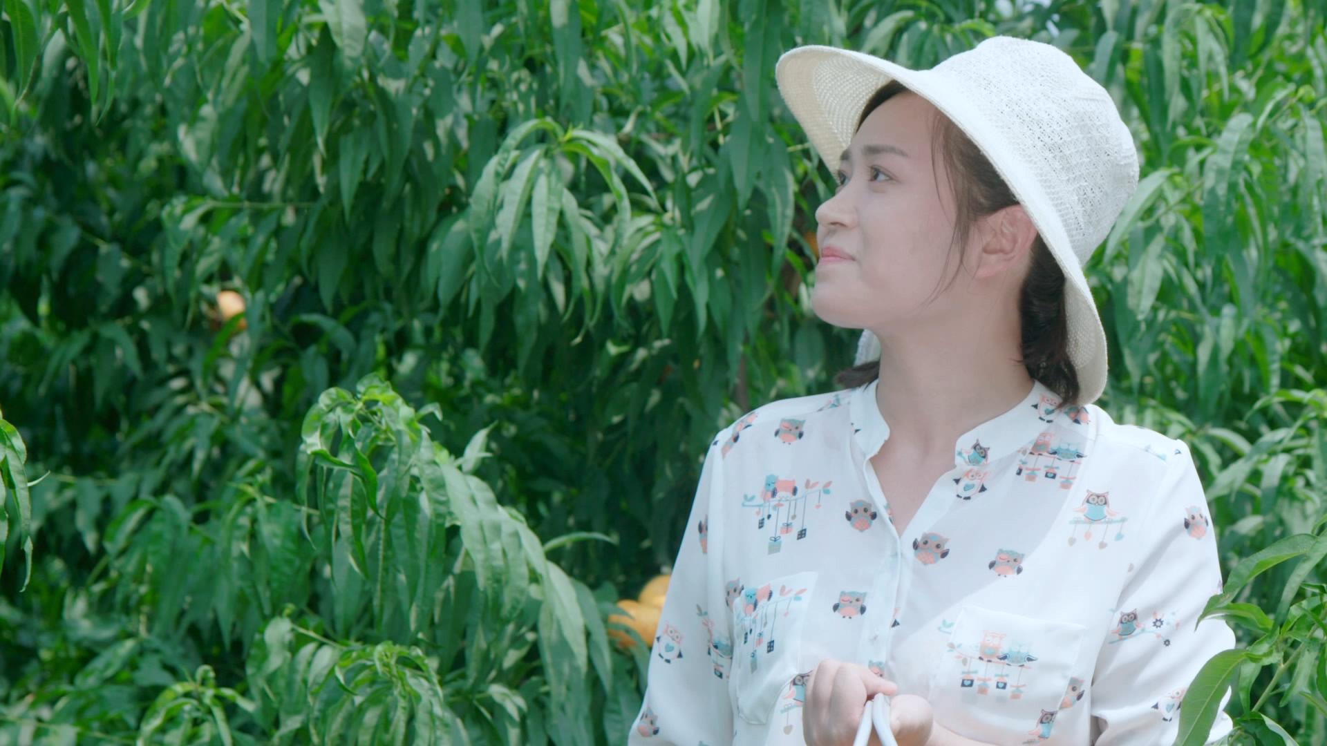 維京農業-黃金蟠桃